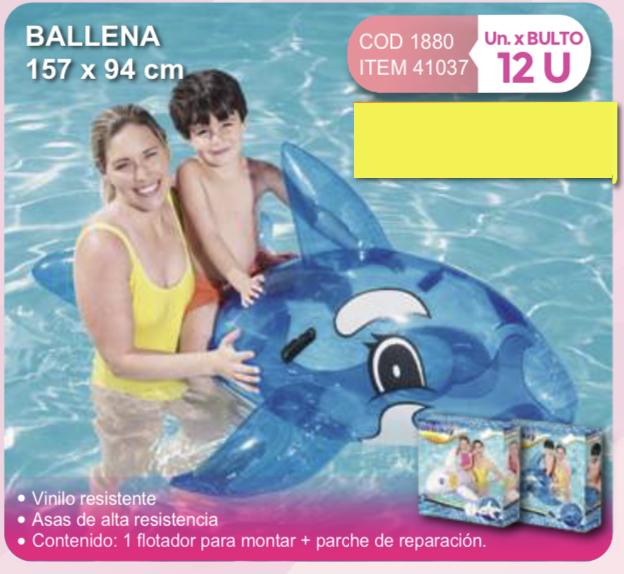 ballena grande 157 x 94 cm (Atras)