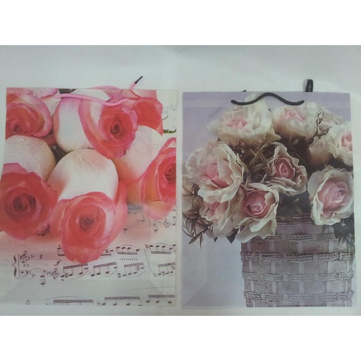 [3288] BOLSA REG GRANDE 39X31/14ABAJO