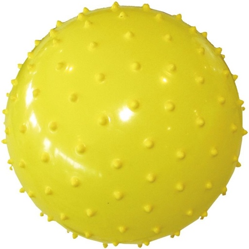 [150167] pelota inflable pinches 20 cm/ 15 medio